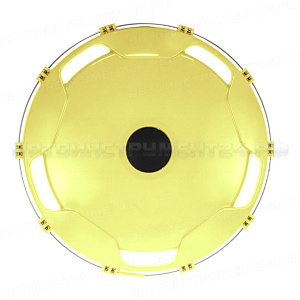 Колпак колеса пластик задний желтый R-22,5 ТТ-ПЛ-Т04, шт
